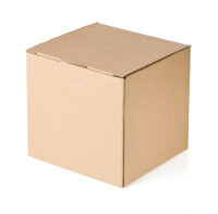 cardboard box 10